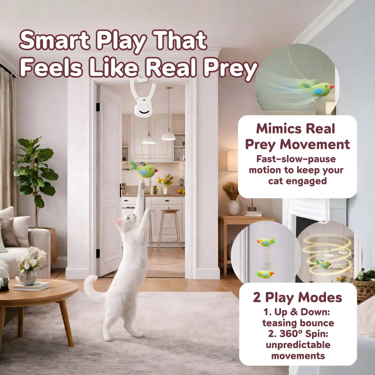 AIXINPET Rechargeable Electric Cat Teaser - Interactive Door-Mounted Toy with Adjustable String Length and Multiple Accessories for Indoor Play, Featuring Two Exciting Exercise Modes