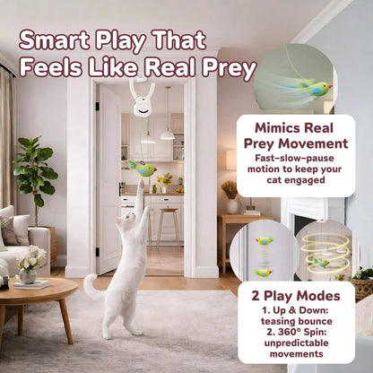 AIXINPET Rechargeable Electric Cat Teaser - Interactive Door-Mounted Toy with Adjustable String Length and Multiple Accessories for Indoor Play, Featuring Two Exciting Exercise Modes