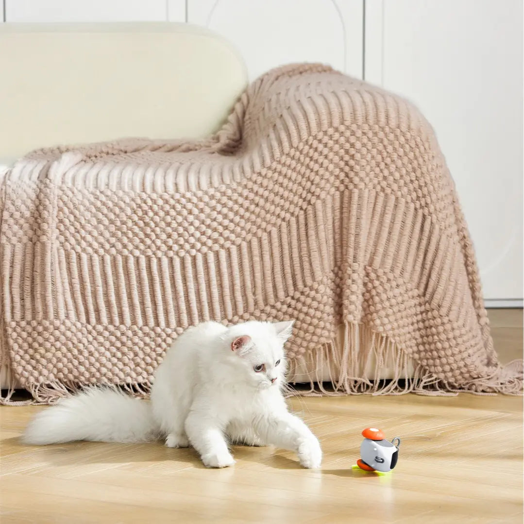 Remote-Controlled Electric Cat Toy: Self-Entertaining Rolling Ball for Feline Playtime